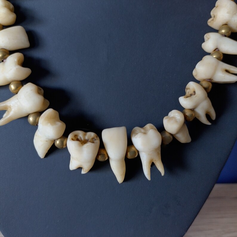 Aged Human Teeth Necklace With Brass Beads Etsy
