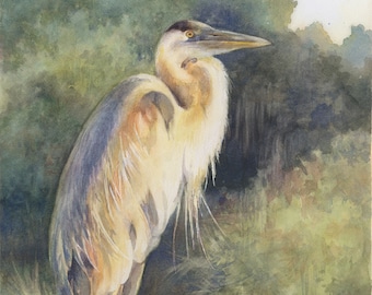 Blue Heron Giclee Print, Signed Watercolor Bird Art