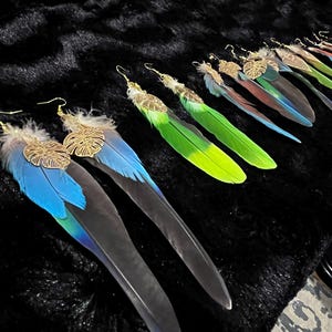 May include: A set of feather earrings with gold leaf accents. The earrings are arranged in a row, with the longest earrings at the bottom and the shortest earrings at the top. The feathers are in shades of blue, green, and red.