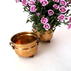 Könnte beinhalten: Zwei antike Messing-Pflanzgefäße, eines leer und eines mit leuchtend rosa und weißen Blumen gefüllt. Die Pflanzgefäße haben kleine Griffe und dekorative Füße. Die Blumen setzen einen Farbtupfer zum Messing.