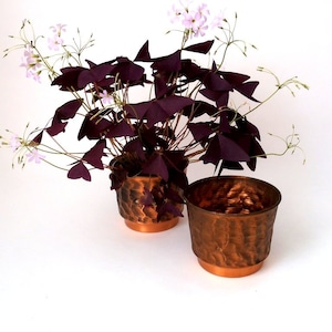 Set of 2 copper plant pots, vintage copper planters cache pot set, mid century solid copper planter, Germany, indoor gardening urban jungle