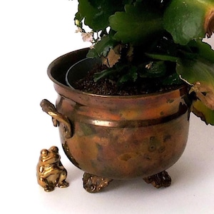 Brass planter with handle, antique solid brass, vintage plant pot, cachepot metal,  cottage farmhouse chic indoor gardening