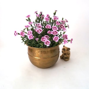 Large vintage brass plant pot, mid century brass planter, cache pot, mid century, Germany, indoor gardening, urban jungle