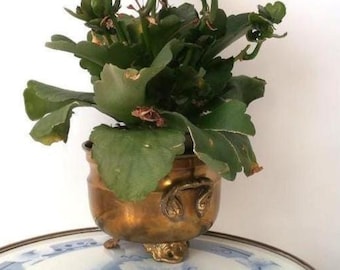 Solid Brass Planter with Handle, Vintage Cachepot, Hollywood Regency Indoor Gardening