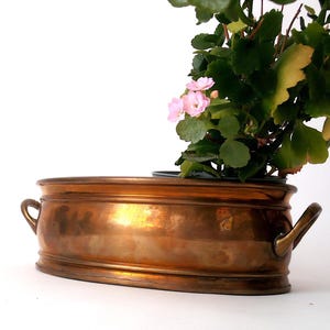 Brass planter plant bowl with handle, antique solid brass, vintage plant pot, cachepot metal,  cottage farmhouse chic indoor gardening