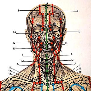 May include: An anatomical illustration of a human head and upper torso, depicting acupuncture points. The image features a detailed drawing with red, green, and blue lines and dots, with labels and numbers indicating specific points.