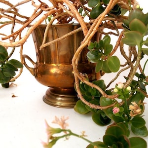 Brass planter with handle, antique solid brass, vintage plant pot, cachepot metal,  cottage farmhouse chic indoor gardening urban jungle