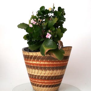 Könnte beinhalten: Eine Kalanchoe-Pflanze mit dunkelgrünen, gezackten Blättern und kleinen hellrosa Blüten in einem konischen Keramiktopf mit einem horizontalen Muster aus abwechselnden braunen, orangefarbenen und cremefarbenen strukturierten Streifen.