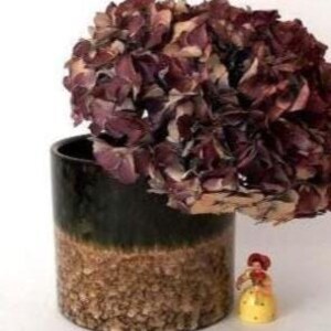 Puede incluir: Un jarrón cilíndrico de cerámica con un esmalte de dos tonos que presenta una sección superior verde oscuro y una sección inferior texturizada y moteada de color tostado. Una gran flor de hortensia seca con pétalos de color púrpura oscuro y marrón se encuentra dentro del jarrón. Una pequeña figura amarilla se encuentra al lado del jarrón.