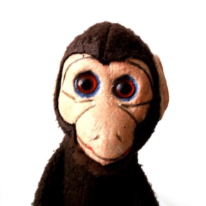 May include: A plush monkey toy featuring dark brown fur, a light beige face, and large, round, reddish-brown eyes with blue accents. The toy has stitched facial features, including a small mouth and defined lines around the eyes and nose, with prominent ears on the sides of its head.