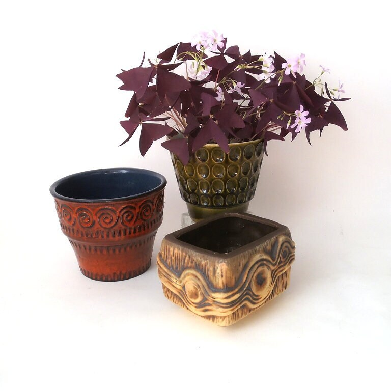Fat lava plant pot - Etsy 日本 Fat lava plant pot - Etsy 日本