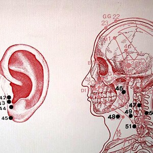 May include: An illustration of the human ear and head, depicting acupuncture points. The ear is on the left, with numbered points 42-45. The head profile on the right shows additional points, including 46, 47, 48, 49, 50, and 51, with other labeled points.