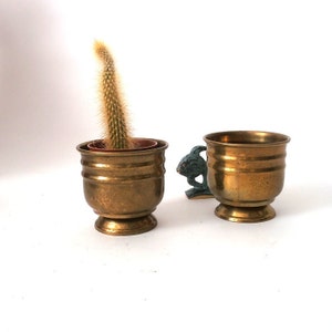 Puede incluir: Dos macetas de latón dorado, una con una pequeña planta de cactus. La maceta de la derecha tiene un asa con forma de pez.
