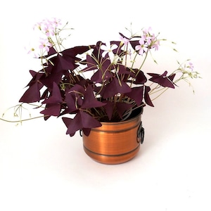 Vintage copper planter pot with wrought iron handles, copper planter, copper pot, mcm planter, indoor plants mid century modern home decor