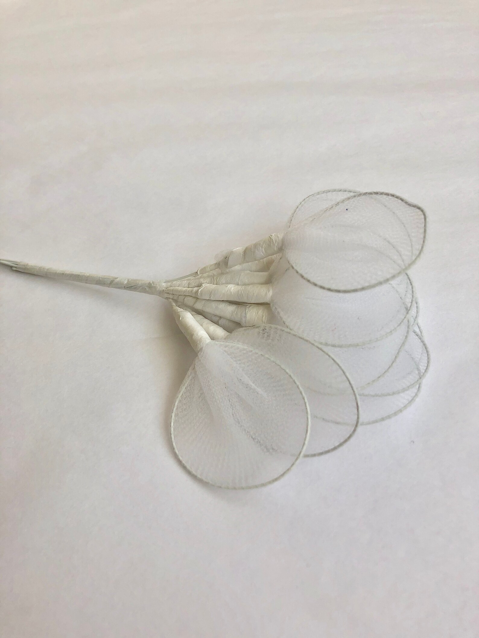 Almond holder set of 12 jordan almonds tulle net white Etsy
