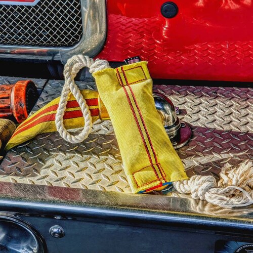 Dog Toy Frisbee Made From Fire Hose Squeakers Optional Etsy