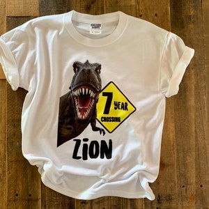 Dinosaur birthday shirt, birthday dino shirt, trex birthday dinosaur shirt, custom birthday boy dinosaur shirt
