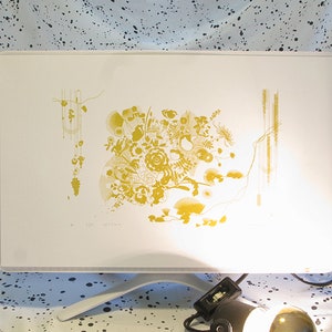 Silkscreen Prints : FLORA/FAUNA SERIES