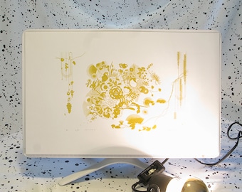 Estampas em serigrafia: SÉRIE FLORA/FAUNA