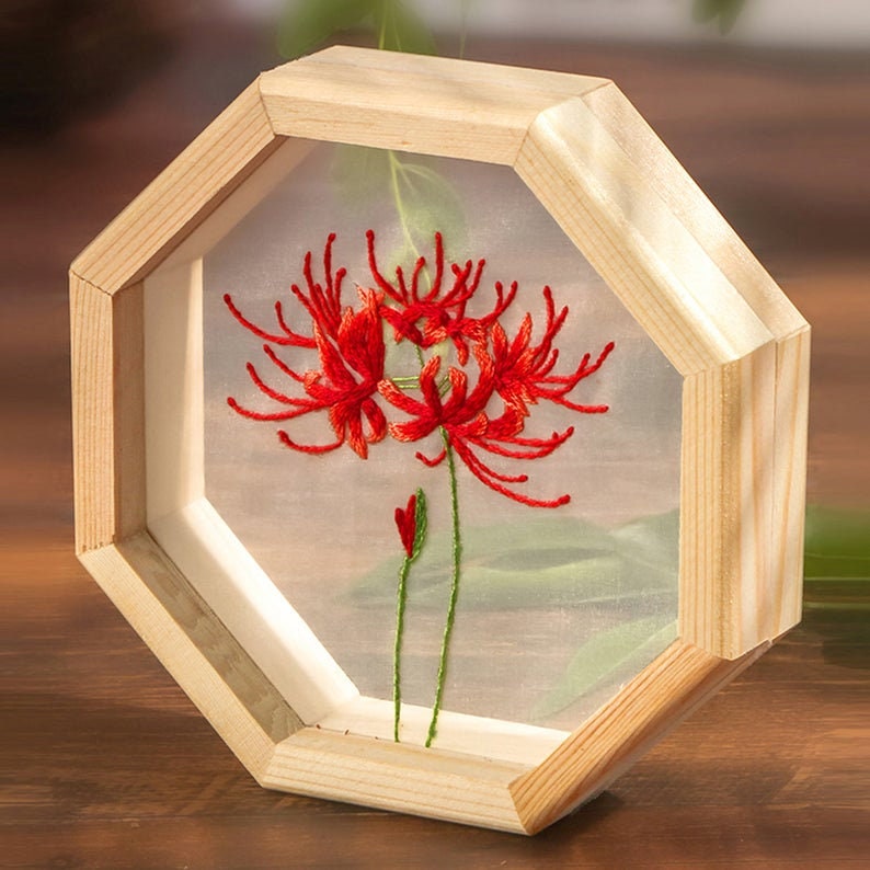 Hand Embroidery Kit Modern,Flowers Embroidery Pattern,DIY Embroidery Kit,Home Decor Christmas Ornaments,Transparent Embroidery kit Beginner