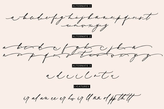 Download Luxury Script Font Handwritten Handwriting Rustic Script Etsy SVG Cut Files