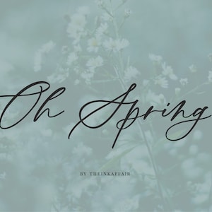 Calligraphy Font, Modern Calligraphy, Digital Fonts, Invitation Font, Script Font, Wedding Font, Luxury Script, Digital Download, Font