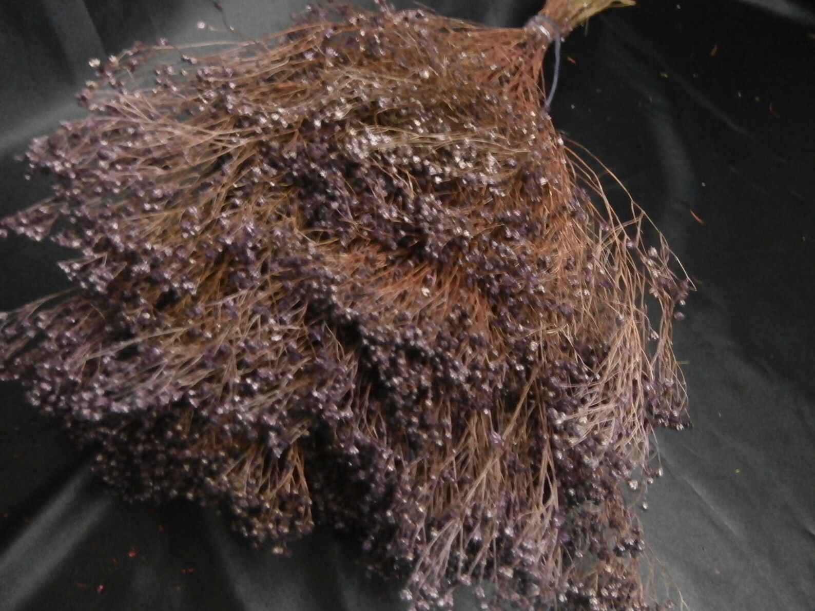 Dried Purple Broom Bloom/Grass Bundle/Dried Leaf/Dried