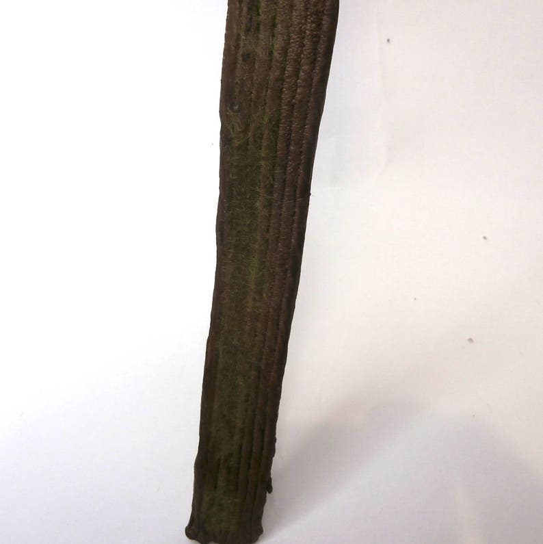 Artificial Tree Bark with MossArtificial FlowerArtificial Etsy