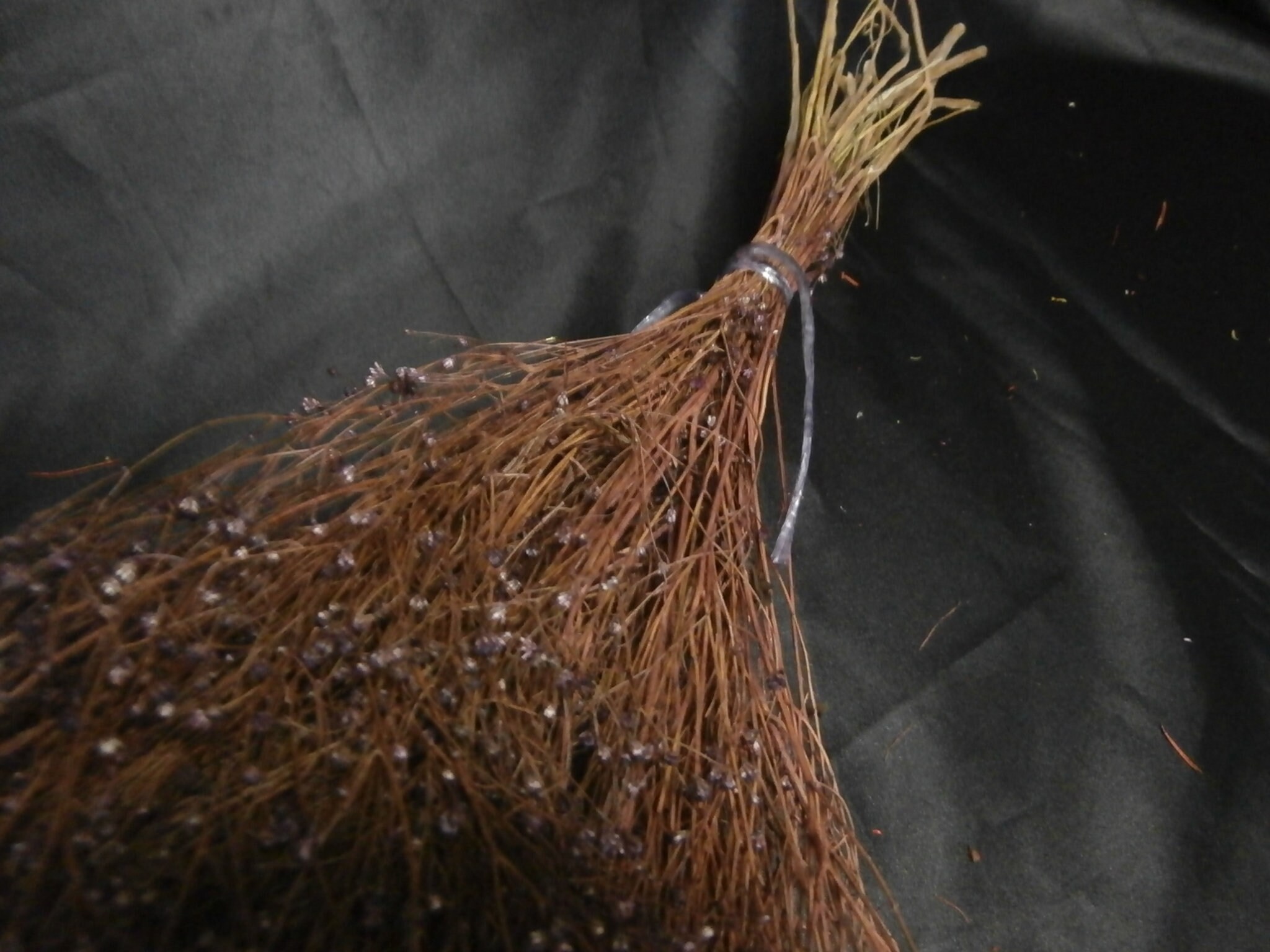 Dried Purple Broom Bloom/Grass Bundle/Dried Leaf/Dried