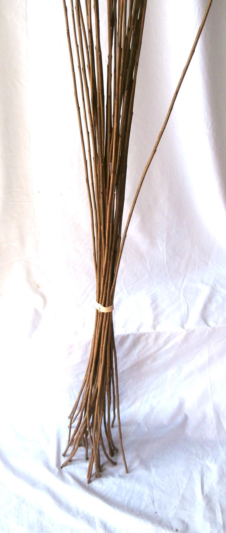 Willow Twig Bundle Straight Willow Branches Natural Willow Etsy