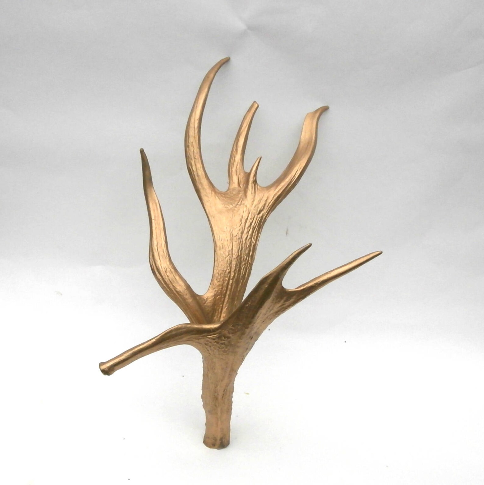 Gold Color Deer Antler Naturally Shed Antlers Real Antlers Etsy