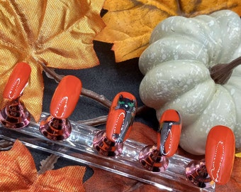 9 Lives Nail Set