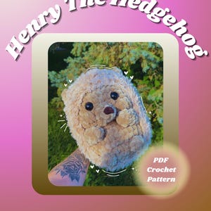 HEDGEHOG Crochet Pattern Intermediate Cute Amigurumi Plushie - PDF Henry the Hedgehog