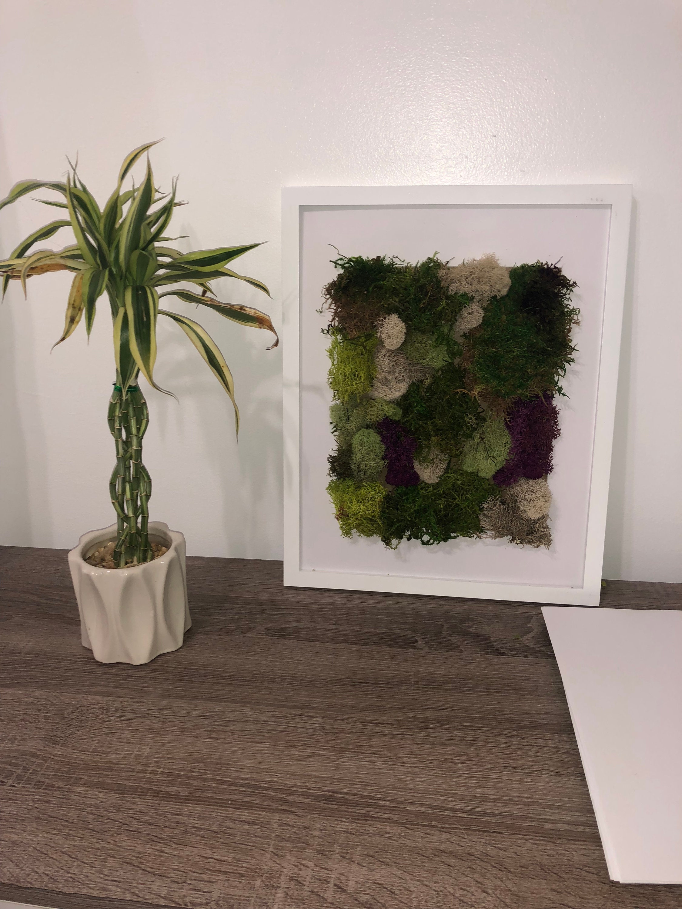 Moss wall art Etsy