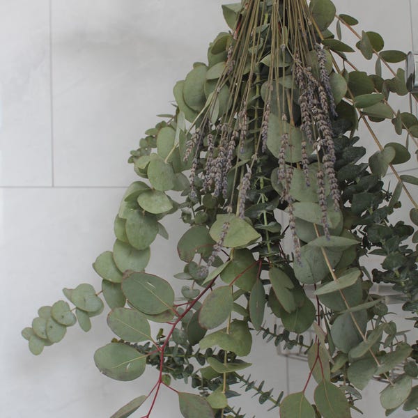 Lavender Eucalyptus Shower Bundle | Fresh Eucalyptus Shower Bouquet | Aromatherapy Shower Bundle | Spa Gift for Her | Natural Bathroom Decor