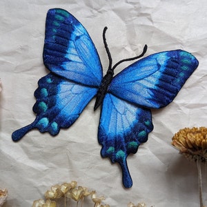 Iridescent realistic butterfly embroidery Applique/High quality iron on patch/Papilio ulysses/The blue mountain swallowtail/Butterfly decor