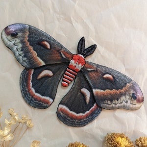 Iridescent realistic moth embroidery Applique / High quality iron on patch / Hyalophora cecropia / The cecropia moth