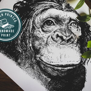 Ape Print | Monk Art Print | Chimpanzee Poster | Natural History Art Print, Limited Edition Wall Art | Kid Gift Idea | Animal Baboon Print
