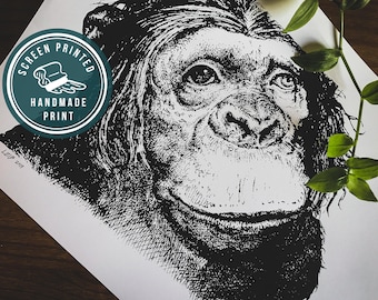 Ape Print | Monk Art Print | Chimpanzee Poster | Natural History Art Print, Limited Edition Wall Art | Kid Gift Idea | Animal Baboon Print