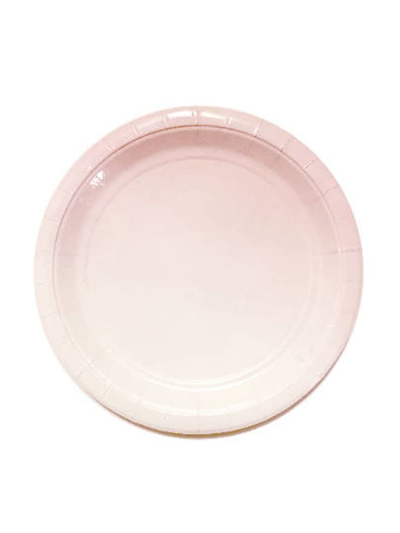 Blush Ombre Paper Plates Blush Party PlatesPastel PartyBaby Etsy