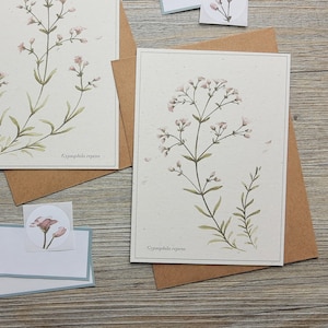 2 biglietti di auguri nel set "Schleierkraut" composto da: 2 biglietti e 2 buste, DIN A6, cartone naturale