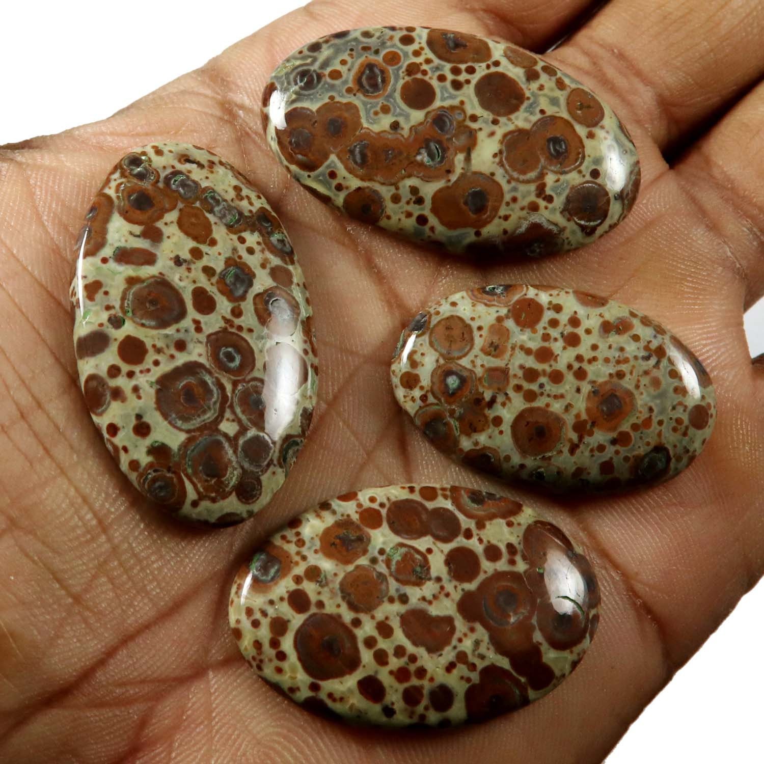 Orbicular Asteroid Jasper Natural Gemstone Cabochon Oval Shape Etsy