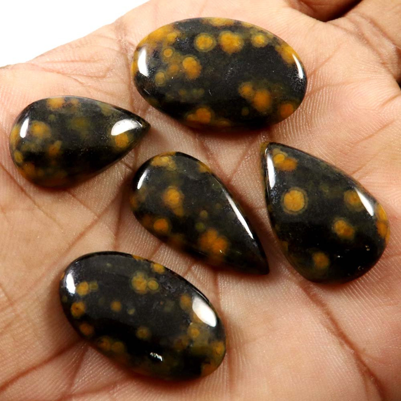 blue leopard skin jasper rough