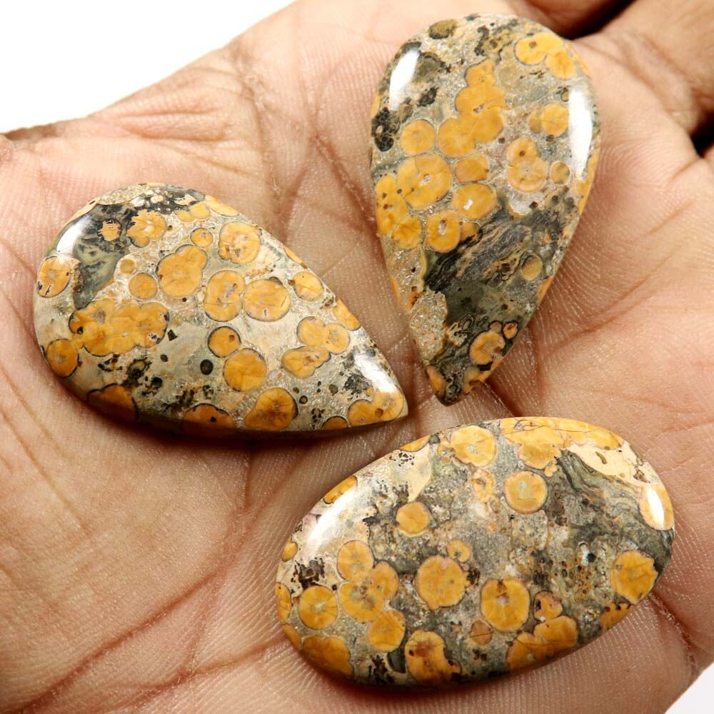 Natural Bamboo Jasper Gemstone CabochonOvalPear Shape Loose Etsy