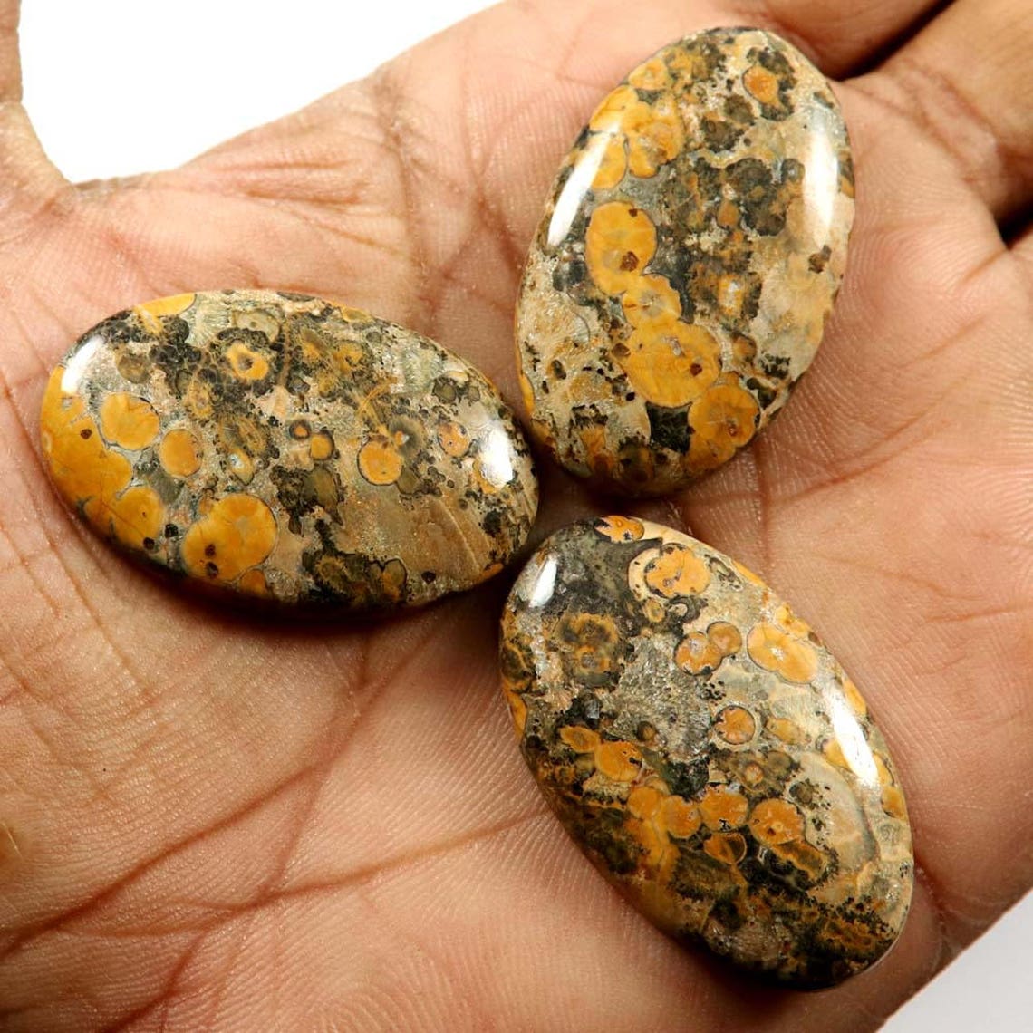 blue leopard skin jasper rough blue leopard skin jasper rough
