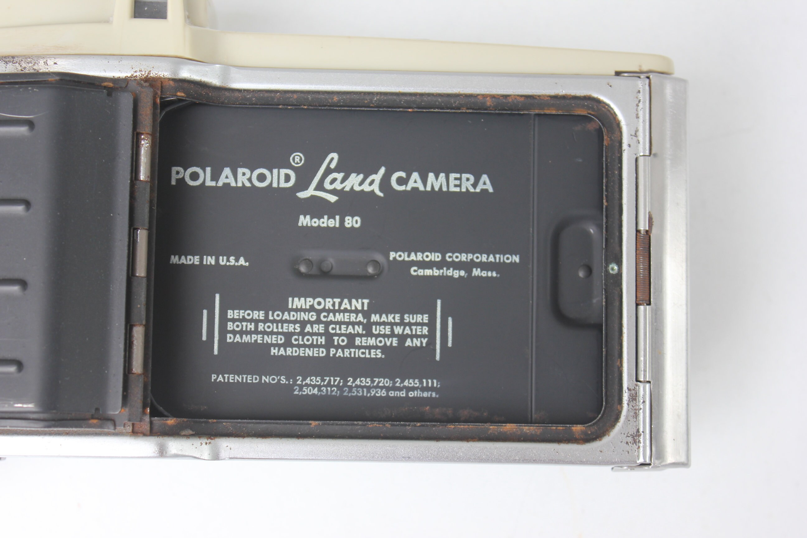 Fond De Photographie Polaroid Modèle Pour La Conception Rose | Vecteur