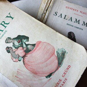 Two Rare Novel Books in French by Gustave Flaubertl: Madam Bovary and Salammbo, Love Reading Gift, French Literature
