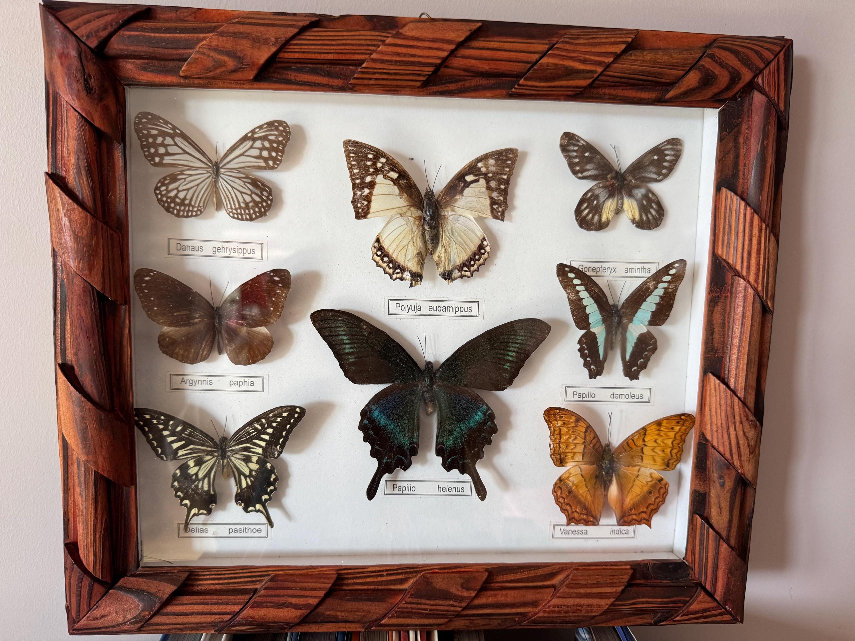 5-in-1 Gewürzstreuer Camping - Mini Gewürzbox Aus Aluminium Für Unterwegs