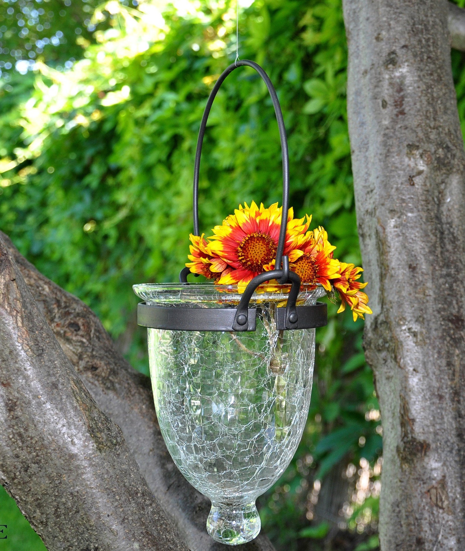 Unique Glass Vase With Wrought Iron Holder Hanging Decorative Etsy