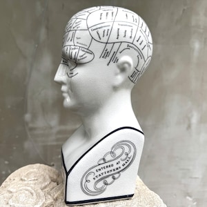 Vintage Phrenology Head Bust, Ceramic Psychology Decor, Medical History, Science Gift, Anatomical Model Figurine